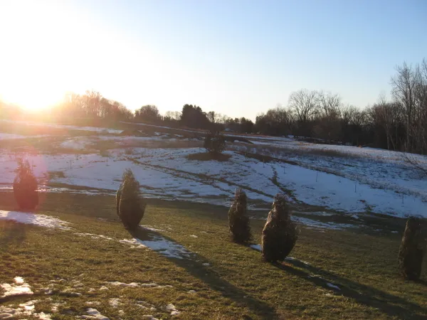 img of Cold Shoulder