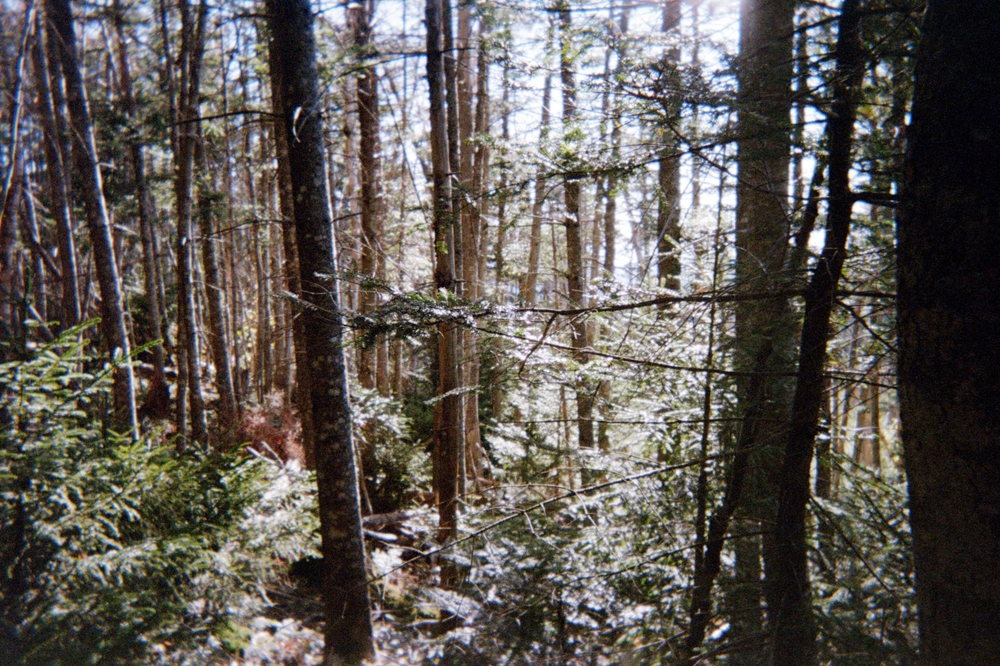 img of Somewhere Sometime Soon